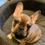 Oscar Bailey - @oscarbailey2020 - Instagram