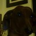 Oscar Ballard - Facebook