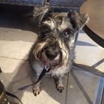 Oscar Barnes - @oscar.barnes - Instagram