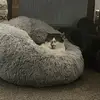 Oscar Barnes - @oscar.barnes3 - TikTok