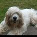 Oscar Barr - Facebook