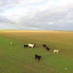 Oscar - @oscar_barrett_farming - Instagram