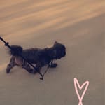 Oscar Bauer - @gbg_oscar - Instagram
