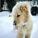 oscar ignacio bauer - @oscar_ignaciobauer - Instagram