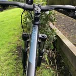 Oscar beard - @osca_rbeard - Instagram