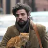 oscar issac's beard - @phallus.junkkie - TikTok
