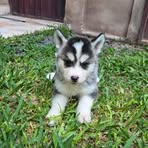 Oscar Bedoya - Facebook