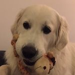 Oscar Bender - @oscar_the_cool_bender - Instagram