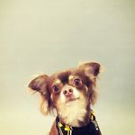 Oscar Monster Bender - @oscar.monster.bender - Instagram