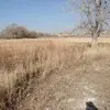Oscar Benson - @oscar.benson8 - TikTok