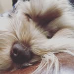 Oscar Francis Berman - @siroscarlot - Instagram