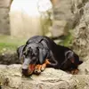 Oscar - @oscardoberman - TikTok
