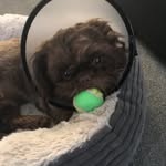 OscarBetts - @oscarbetts1 - Instagram