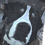 Oscar Bingham - @art__crap - Instagram