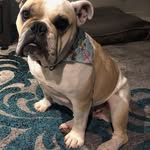 Oscar Bishop - @opbisgrid - Instagram
