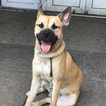 Oscar booth - @oscarbooth2017 - Instagram