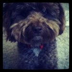Oscar - @oscar_booth_ - Instagram