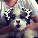 Oscar Stevenson-Booth - @oscarthemalshi - Instagram