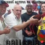 Oscar Brito - @oscarbrito527 - Instagram