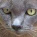 Oscar Browning - Facebook