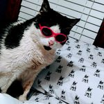 Oscar Browning-Richardson - @osc_theboss - Instagram