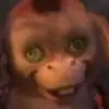 Oscarlovesraspberries - @oscarbush - TikTok