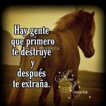 oscar cantarero - @o_cantarero - Instagram