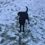 Oscar Chambers - @oscarchambers9 - Instagram