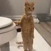 user3721681956573 - @oscar.christopher5 - TikTok