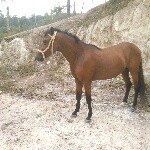 oscar claro - @oscar_claro12 - Instagram