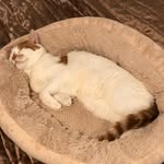 Oscar Clements - @oscar.clements247 - Instagram