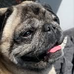 oscar coates - @oscar_coates_priv - Instagram