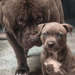 Oscar Cobos - @oscar.cobos.7543 - Instagram