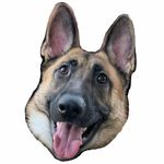 Oscar - @oscar.coolranch.conner - Instagram
