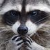 Oscar Coon - Facebook