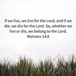 Oscar Corbin - @romans14.8 - Instagram