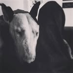 Oscar Couch - @couch.oscar - Instagram