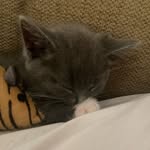 Oscar Couch - @oscar_couchh - Instagram