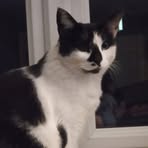 Oscar Couch - Facebook