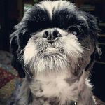 Oscar Cramer - @oscar_cramer - Instagram