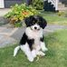 Oscar Cramér - Facebook
