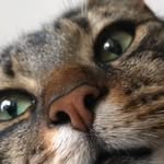 Oscar From Crouch End - @oscarfromcrouchend - Instagram