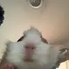 Oscar Cunningham - @ozzy_go.crazy - TikTok