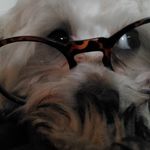 Oscar Daly - @osacareeno1 - Instagram