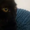 Oscar Daly - @oscar.football - TikTok