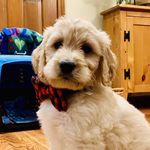 Oscar Jameson Daly Donovan - @oscar.jdd - Instagram