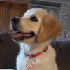 Oscar - @oscarsdaly - TikTok