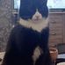 Oscar Dickens - Facebook