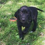 Oscar & Olivia Mae Dillon - @oscarandoliviadillon - Instagram