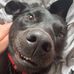 Oscar Dodd - Facebook